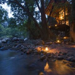 Отель Ella Jungle Resort Шри-Ланка, Бандаравела - отзывы, цены и фото номеров - забронировать отель Ella Jungle Resort онлайн с домашними животными