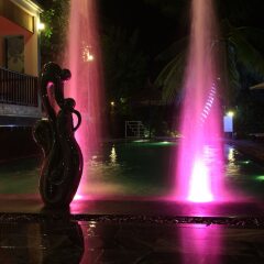 Отель Hoi An River Palm Villas развлечения