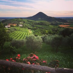 Отель Borgo Buzzaccarini Rocca di Castello Италия, Монселиче - отзывы, цены и фото номеров - забронировать отель Borgo Buzzaccarini Rocca di Castello онлайн фото 8