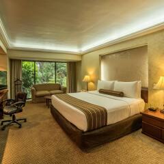 Отель Wyndham Garden Guadalajara Expo комната для гостей фото 4