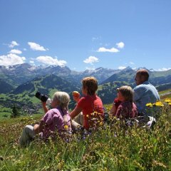 Hotel Spitzhorn фото 3
