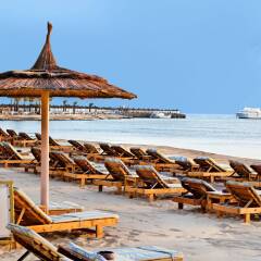 Отель Albatros Palace Resort пляж