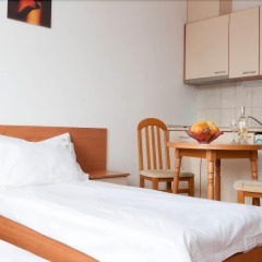 Отель Apart Hotel Flora Residence Болгария, Боровец - отзывы, цены и фото номеров - забронировать отель Apart Hotel Flora Residence онлайн комната для гостей фото 2