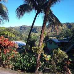 Wales Yard in Massacre, Dominica from 59$, photos, reviews - zenhotels.com photo 3
