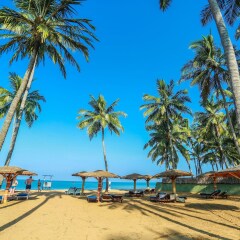 Отель Club Palm Bay Шри-Ланка, Маравила - 3 отзыва об отеле, цены и фото номеров - забронировать отель Club Palm Bay онлайн фото 3