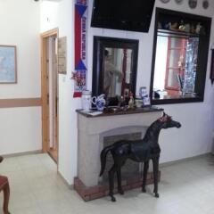 Haddad Guest House Израиль, Хайфа - отзывы, цены и фото номеров - забронировать отель Haddad Guest House онлайн с домашними животными