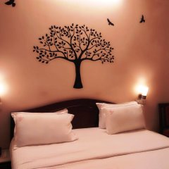 Отель Plazaa Inn Индия, Северный Гоа - отзывы, цены и фото номеров - забронировать отель Plazaa Inn онлайн комната для гостей фото 2