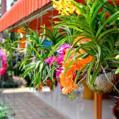 Отель Koh Chang Paradise Ко Чанг с домашними животными