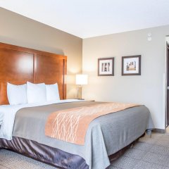 Comfort Inn North/Polaris in Columbus, United States of America from 152$, photos, reviews - zenhotels.com guestroom photo 5