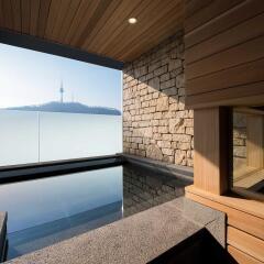 Отель Ibis Styles Ambassador Seoul Myeongdong Сеул бассейн