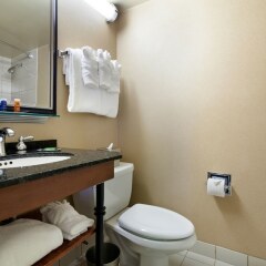 Отель Radisson Jfk Airport США, Нью-Йорк - отзывы, цены и фото номеров - забронировать отель Radisson Jfk Airport онлайн ванная фото 2