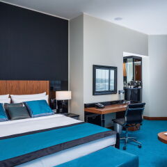 Рэдиссон Блу Шереметьево (Radisson Blu Sheremetyevo Hotel) комната для гостей