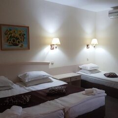 Detelina Hotel комната для гостей фото 3
