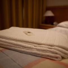 Hotel Portuense фото 3