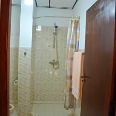 Отель Welcome Family Guest House Шри-Ланка, Бентота - отзывы, цены и фото номеров - забронировать отель Welcome Family Guest House онлайн ванная