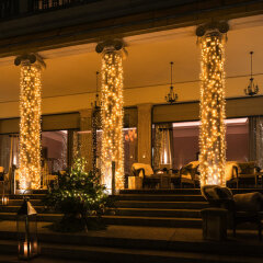 Отель Beau-Rivage Palace с домашними животными