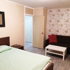 Гостиница Hanaka on Domodedovo в Москве отзывы, цены и фото номеров - забронировать гостиницу Hanaka on Domodedovo онлайн Москва комната для гостей фото 5