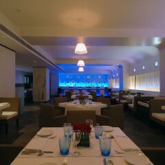The Hans Hotel New Delhi гостиничный бар