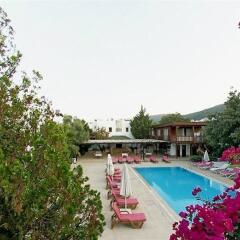 Club Alisya Турция, Торба - отзывы, цены и фото номеров - забронировать отель Club Alisya онлайн фото 6