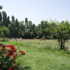 Отель Agriturismo Case Mori Римини приотельная территория