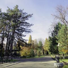 Отель Residence Park Hotel Узбекистан, Ташкент - отзывы, цены и фото номеров - забронировать отель Residence Park Hotel онлайн фото 2