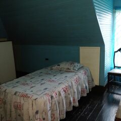 Отель DeMontevins Lodge Порт Антонио детские мероприятия