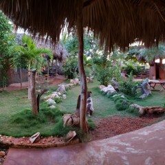 Отель Kudehya Guesthouse Ямайка, Треже-Бич - отзывы, цены и фото номеров - забронировать отель Kudehya Guesthouse онлайн фото 9
