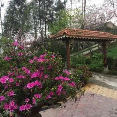 Отель Sapa Garden Bed and Breakfast Вьетнам, Шапа - отзывы, цены и фото номеров - забронировать отель Sapa Garden Bed and Breakfast онлайн фото 12