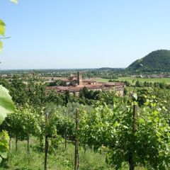 Отель Terme Orvieto Италия, Абано-Терме - отзывы, цены и фото номеров - забронировать отель Terme Orvieto онлайн балкон