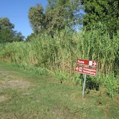 Отель Fattoria La Steccaia Монтескудаио фото 6