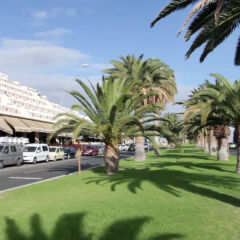 Отель Palm Garden Пахара фото 6