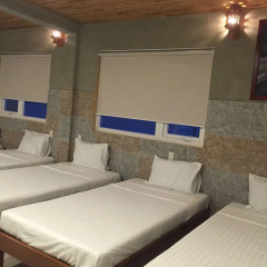 Terra Cotta Homestay and Hostel комната для гостей фото 3
