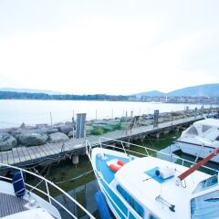 Отель HOMEBOAT - maison flottante Швейцария, Женева - отзывы, цены и фото номеров - забронировать отель HOMEBOAT - maison flottante онлайн приотельная территория фото 3