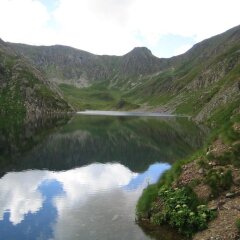 Отель B&B Al Calicanto Соризоле приотельная территория фото 2