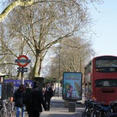 Plaza London Hotel развлечения