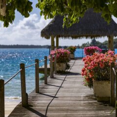 Отель InterContinental Le Moana Resort Bora Bora Французская Полинезия, Бора-Бора - отзывы, цены и фото номеров - забронировать отель InterContinental Le Moana Resort Bora Bora онлайн фото 7