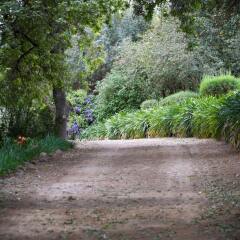 Отель Bartholomeus Klip Farmhouse фото 7