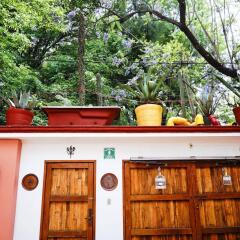 Отель Casa Jacinta Guest House Мексика, Мехико - отзывы, цены и фото номеров - забронировать отель Casa Jacinta Guest House онлайн балкон