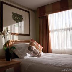 Phoenix Hotel с домашними животными