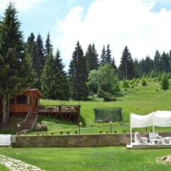 Отель Forest Nook Болгария, Пампорово - отзывы, цены и фото номеров - забронировать отель Forest Nook онлайн фото 8