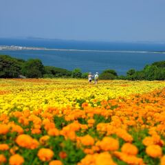 Yagura Hostel Фукуока пляж
