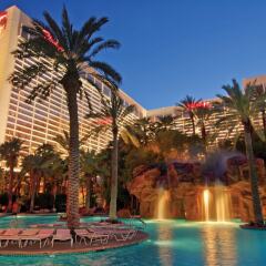 Flamingo Las Vegas - Hotel & Casino бассейн фото 3