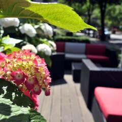 Golden Tulip Berlin Hotel Hamburg бассейн