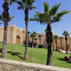 Отель Riad Aïcha детские мероприятия