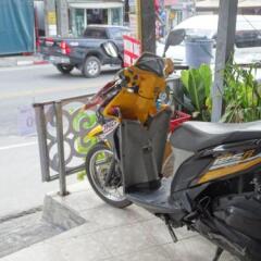 Patong Dormitory Hotel - Hostel фото 24