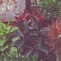 Отель Nostalgia Hotel Beijing Yonghe Lama Temple Китай, Пекин - отзывы, цены и фото номеров - забронировать отель Nostalgia Hotel Beijing Yonghe Lama Temple онлайн фото 2