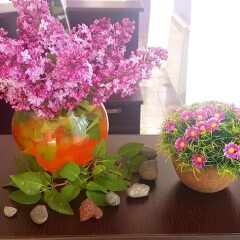 Bloor Hotel интерьер отеля фото 3
