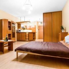 Отель Penguin Apartments Downtown Польша, Вроцлав - отзывы, цены и фото номеров - забронировать отель Penguin Apartments Downtown онлайн комната для гостей фото 2