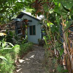 Отель Colo-I-Suva Rainforest Eco Resort Вити-Леву фото 15
