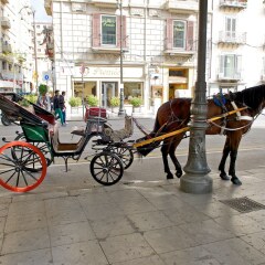 Отель Mercure Palermo Centro Италия, Палермо - 2 отзыва об отеле, цены и фото номеров - забронировать отель Mercure Palermo Centro онлайн городской автобус